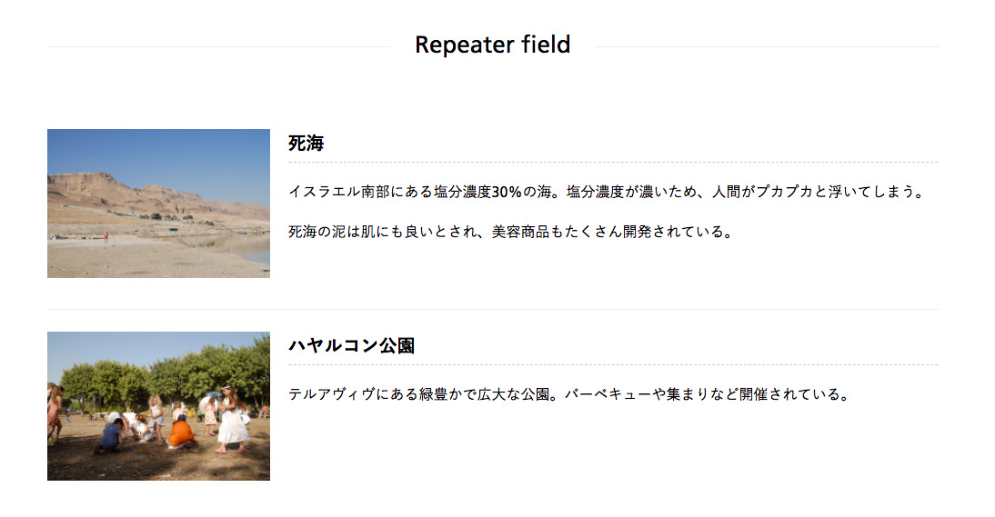 The Repeater Fieldで繰り返しフィールドを実装する