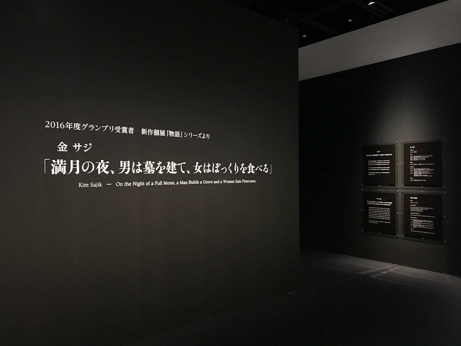 長島有里枝  そしてひとつまみの皮肉と、愛を少々。と写真新世紀展 2017
