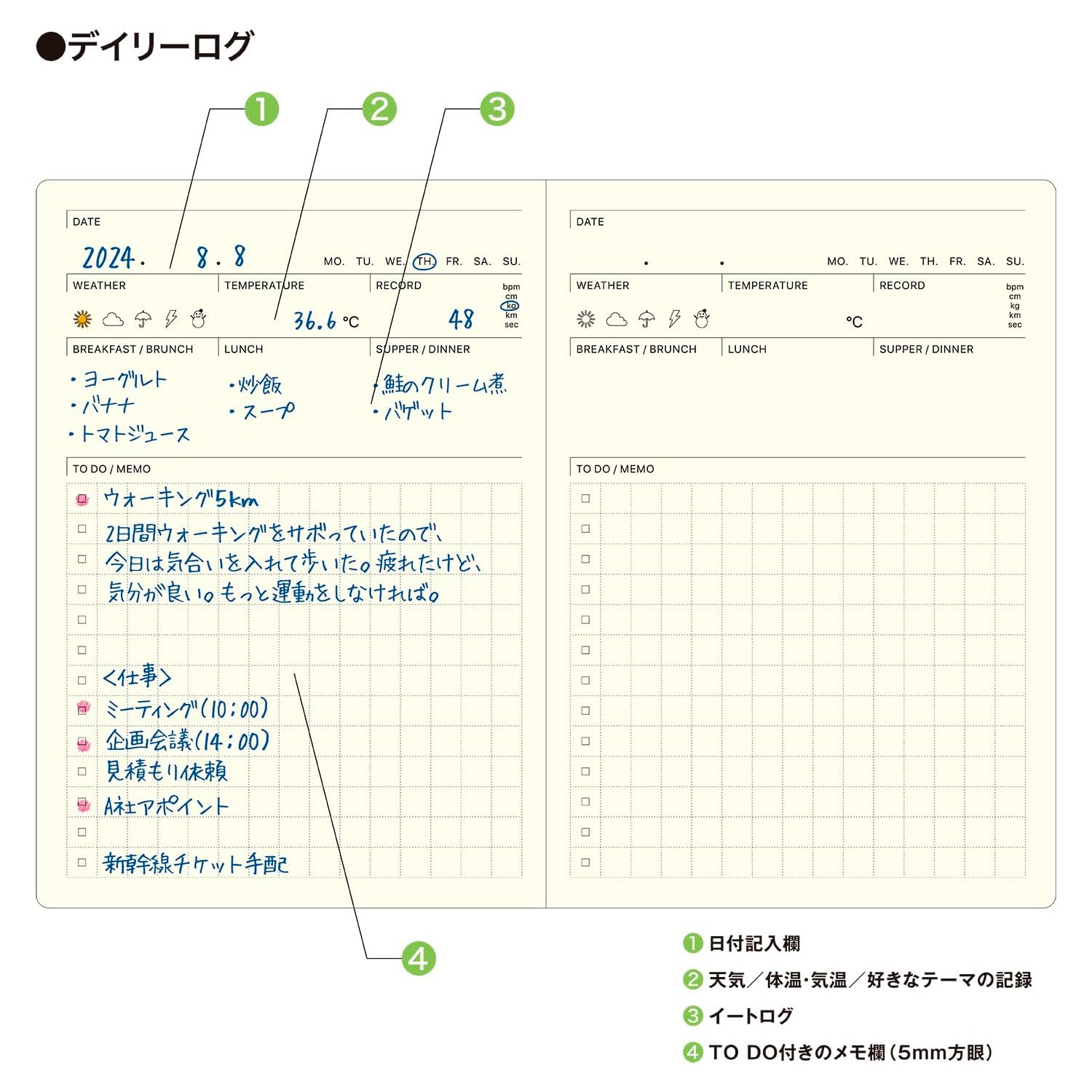 ラコニック ポケットログ ダイアリー 日付けフリー B7