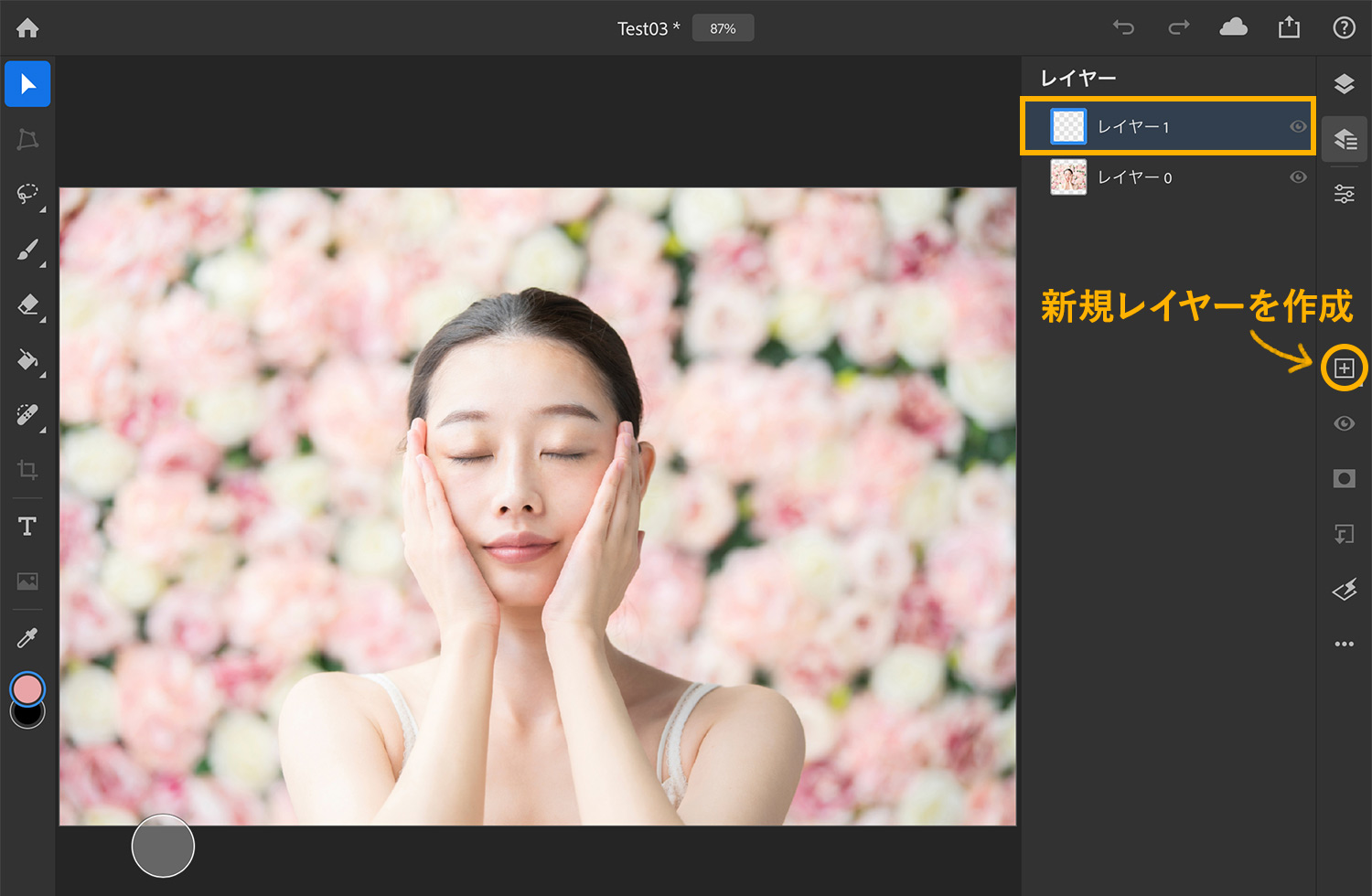 【iPad版Photoshopで写真の背景を切り抜く】新規レイヤーを作成する