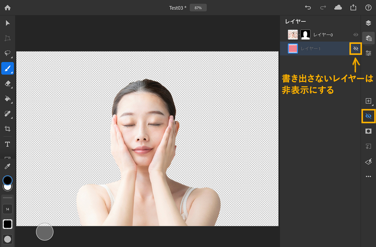 【iPad版Photoshopで写真の背景を切り抜く】レイヤーを非表示にする