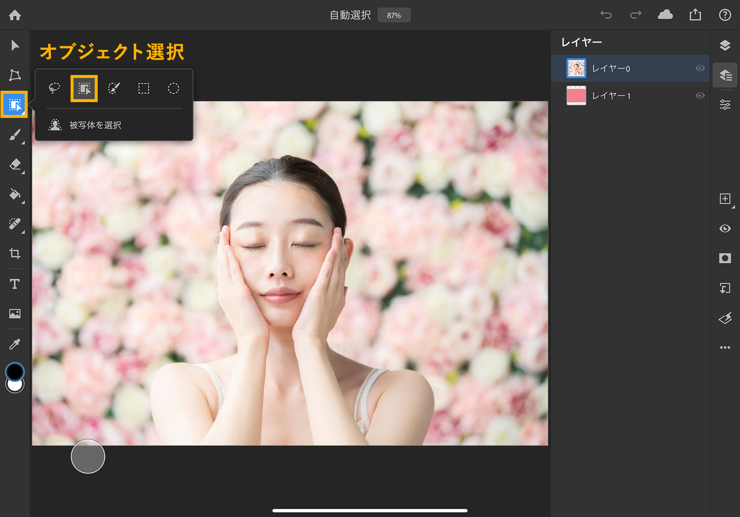 【iPad版Photoshopで写真の背景を切り抜く】「オブジェクト選択」を使用して、自動的に選択範囲を作成する