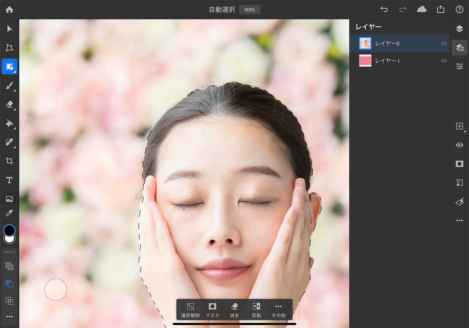 【iPad版Photoshopで写真の背景を切り抜く】「オブジェクト選択」で作成した選択範囲を修正する
