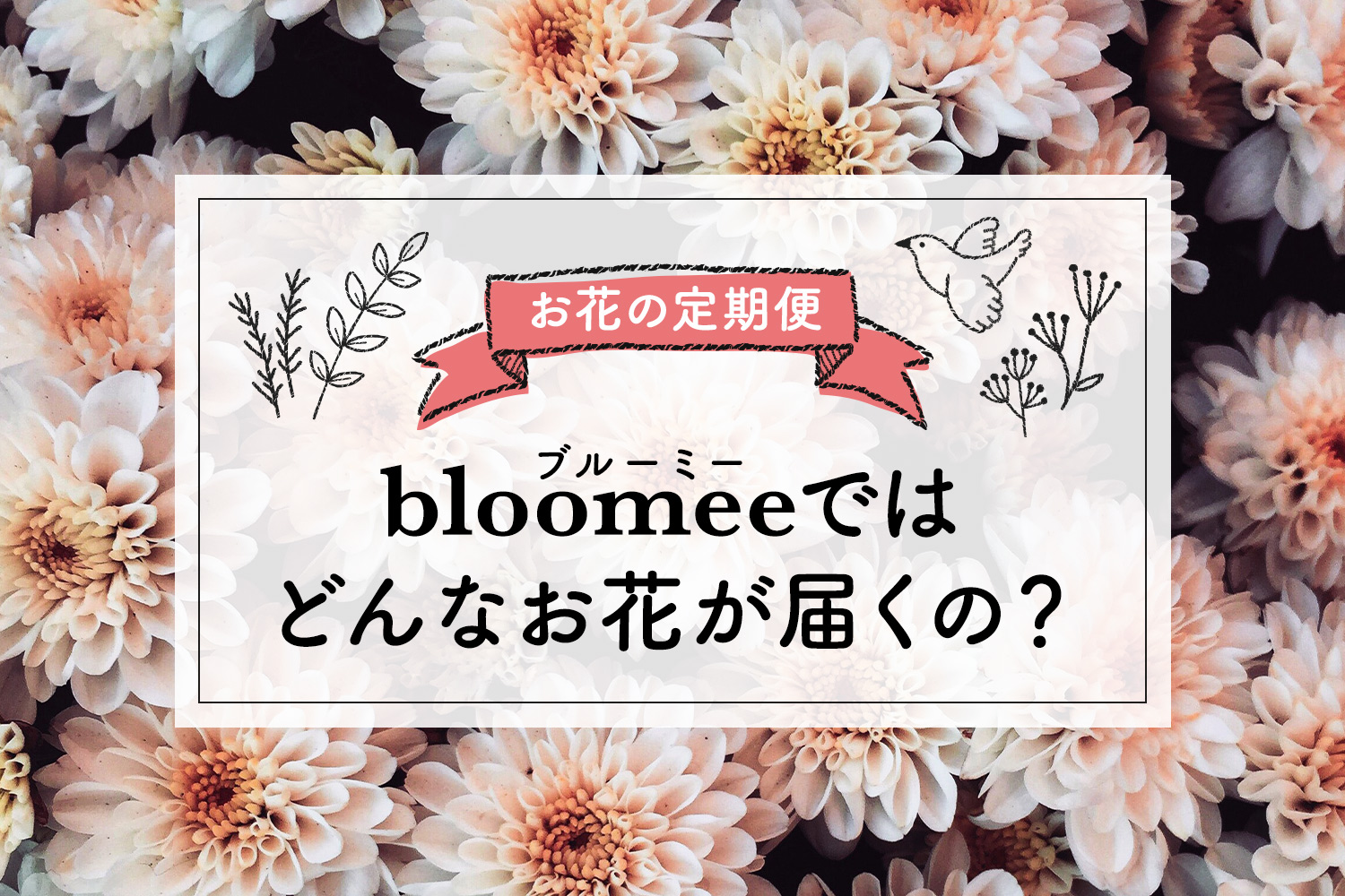 【本音レビュー】bloomee(ブルーミー)ではどんなお花が届くの？実際に利用した感想とメリット・デメリット