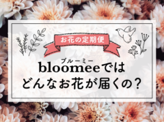 【本音レビュー】bloomee(ブルーミー)ではどんなお花が届くの？実際に利用した感想とメリット・デメリット