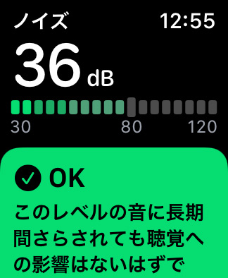 Apple Watch ノイズ機能