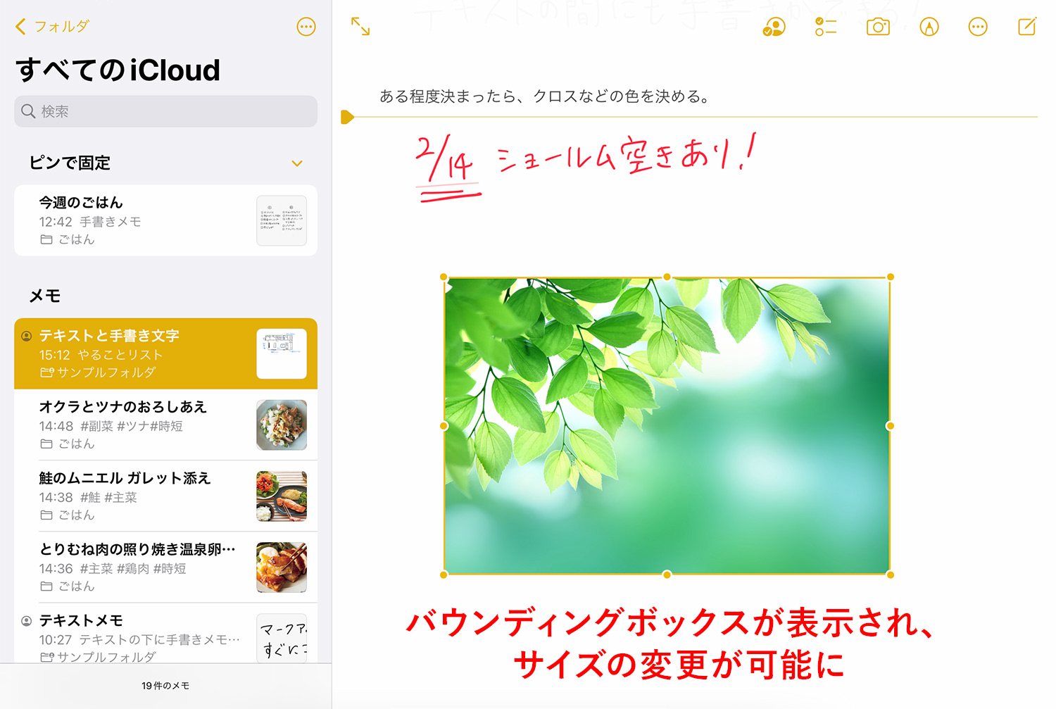 iPad純正メモアプリ：手書きモードで追加した画像のサイズを変更する