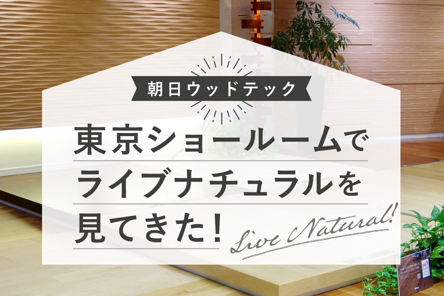 【画像多め】朝日ウッドテックのショールームでライブナチュラル(Live Natural)を比較！