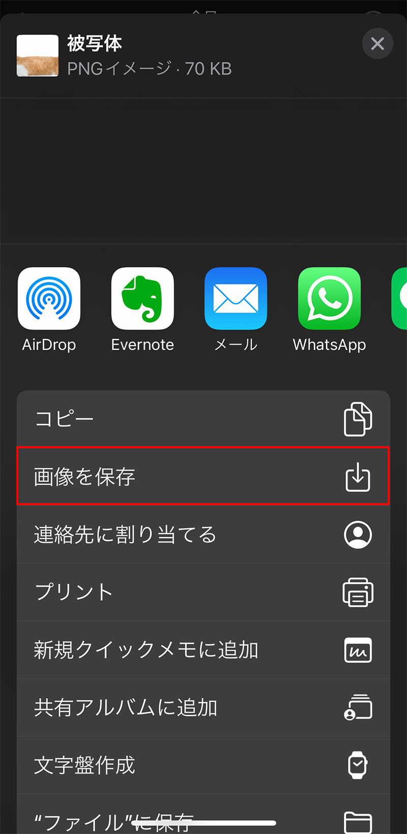 切り抜いた画像をiPhoneに保存・共有する