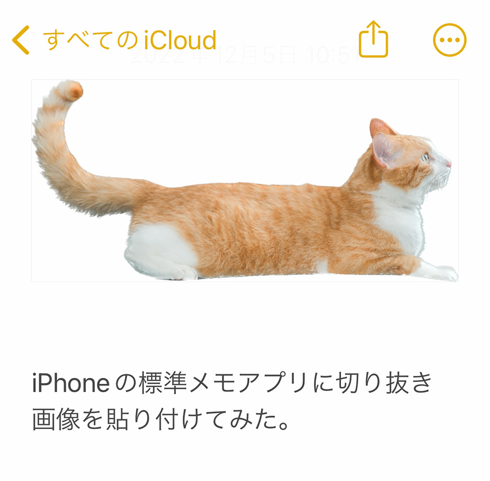 iPhone標準写真アプリで切り抜いた被写体を標準メモアプリに貼り付ける（ペースト）