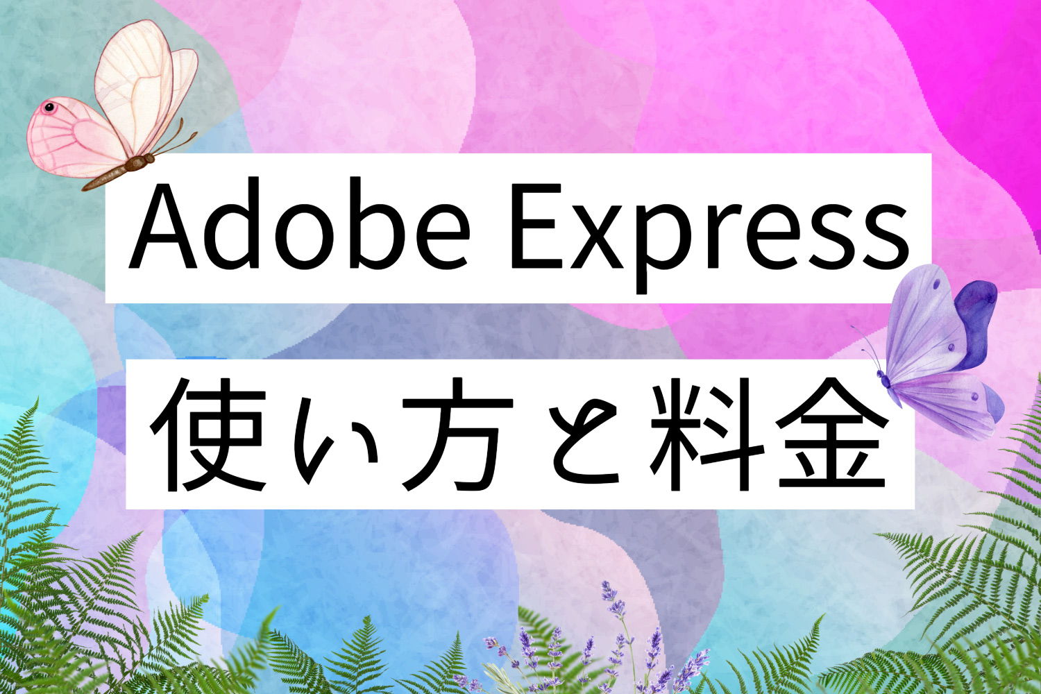 Adobe Expressで何ができる？使い方や無料/有料版の違いを解説