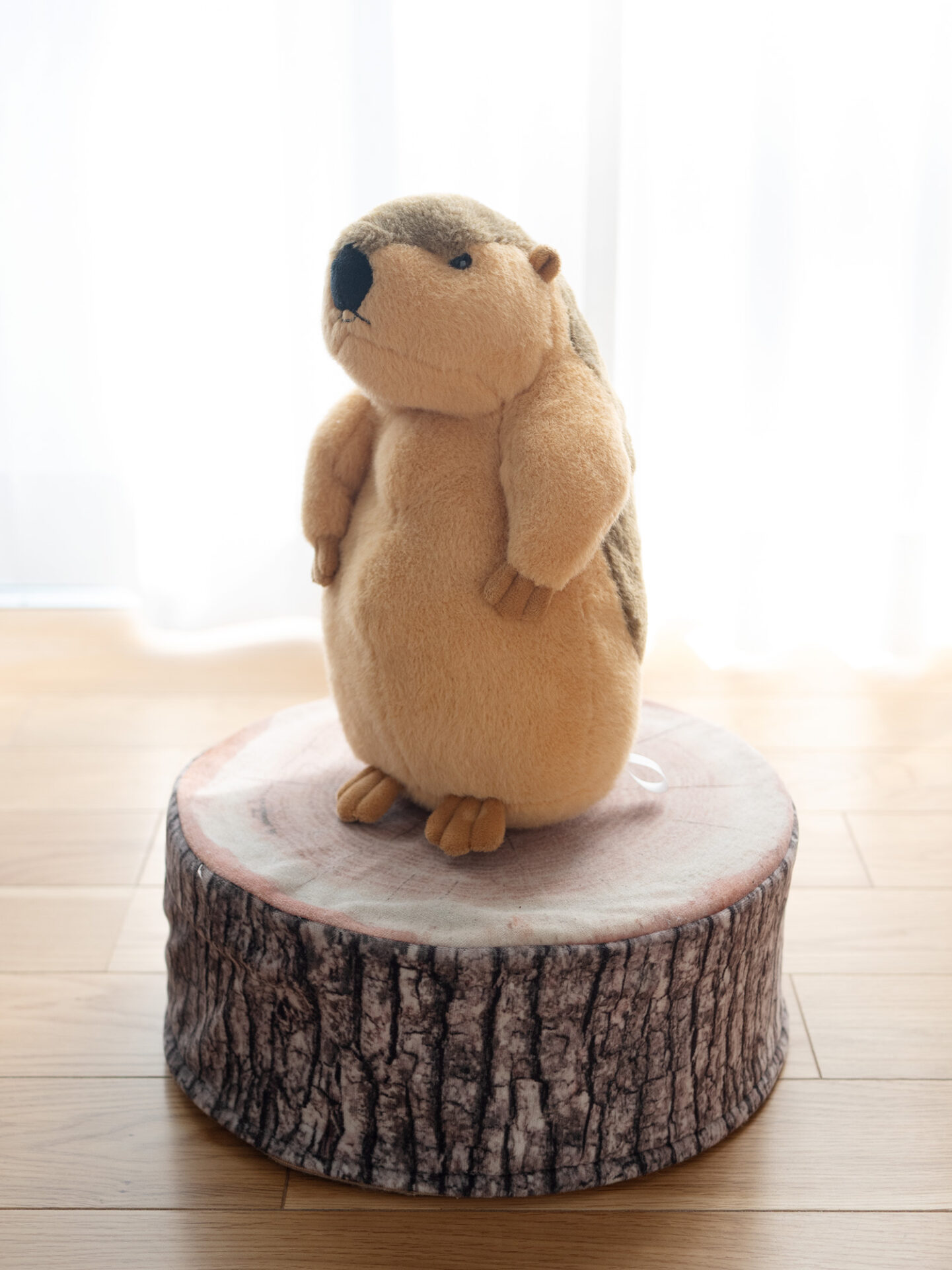 マーモットのぬいぐるみ